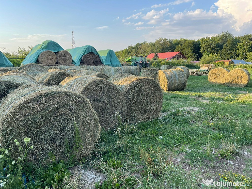 Baloti de calitate de lucerna din agricultura ecologica