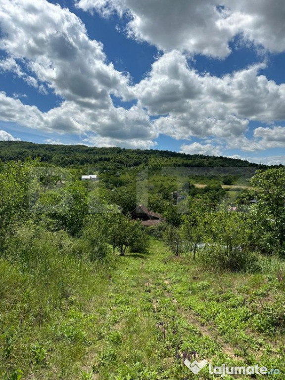 Teren intravilan, 2ha, zona Tomesti