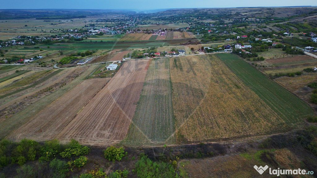 Teren intravilan 10.000 mp, Simnicul de Sus-Lesile.