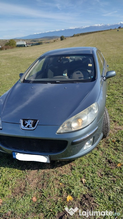 Peugeot 407an 2004