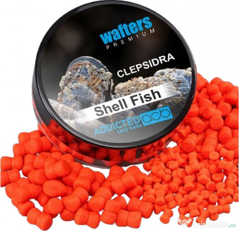 Wafters ADDICTED CARP BAITS Clepsidra Premium, Shell Fish, 8mm, 40ml