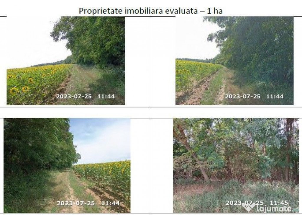 Teren extravilan padure, cota parte de 1/48 Horgesti, ID:...