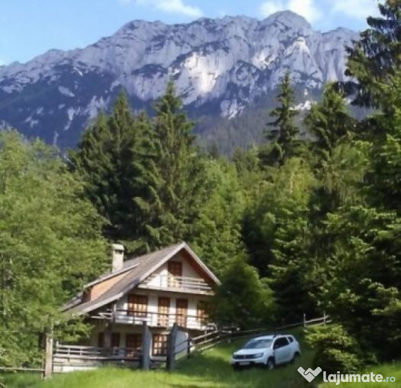 Cabana Plaiul Foii, Zarnesti Brasov