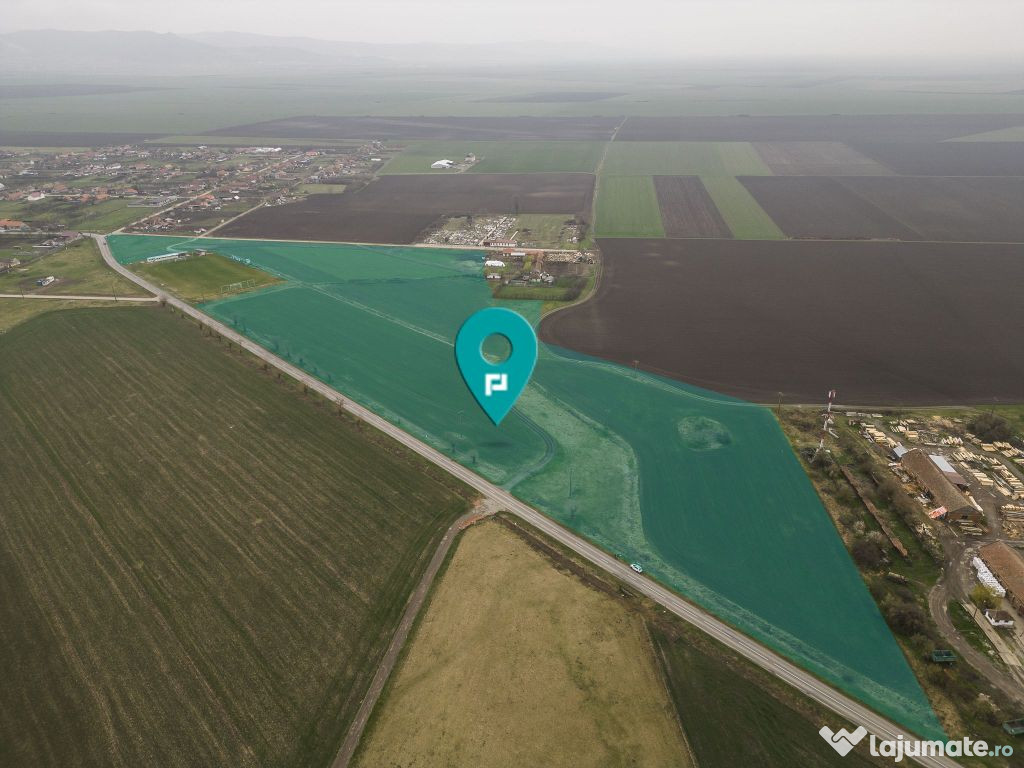 Teren 76.000mp între Sântana și Caporal Alexa