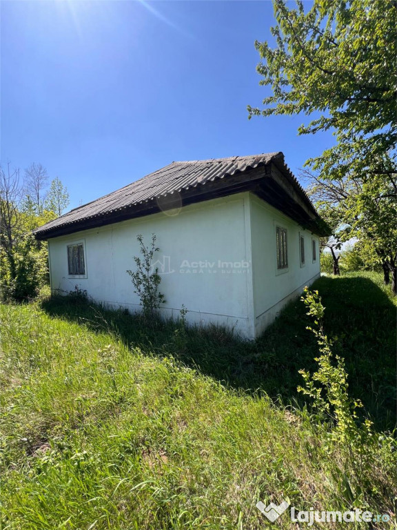 12188 mp teren cu casa - Scanteia / Bodesti - 33 km Iasi