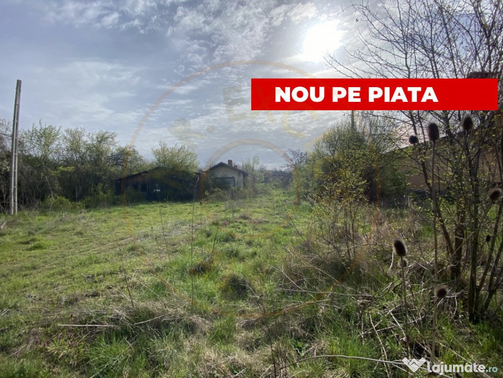 Teren intravilan 1.400 mp - Schitu Golesti AG