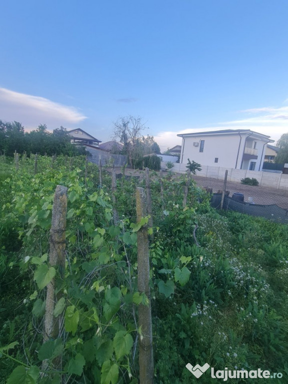 Teren intravilan 714mp, Carcea