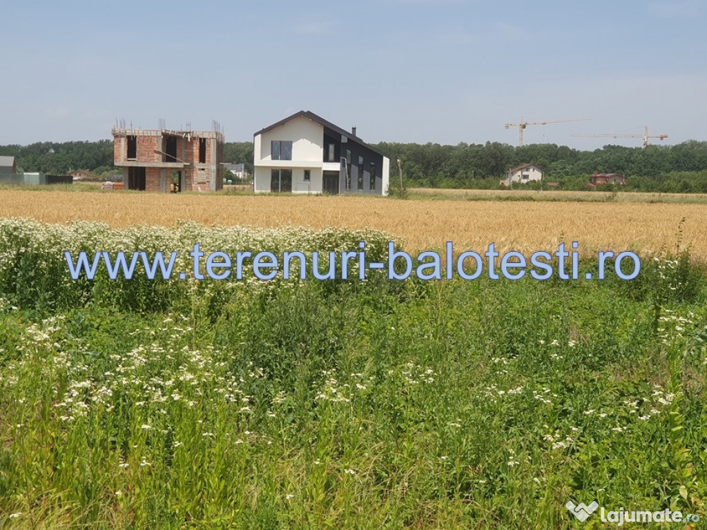 Teren langa padure,case deja construite pe strada 1000mp