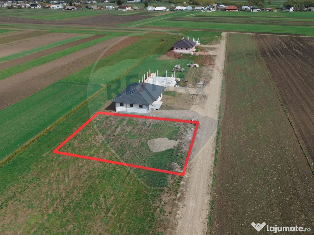 Teren 1,000mp Fratautii Vechi / None