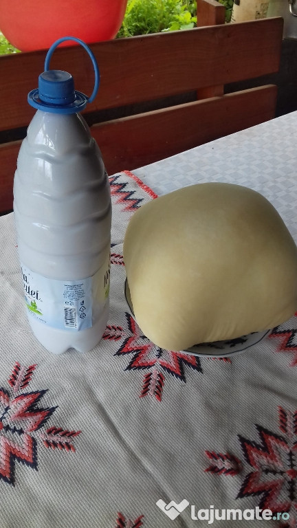 Vând produse lactate de capre