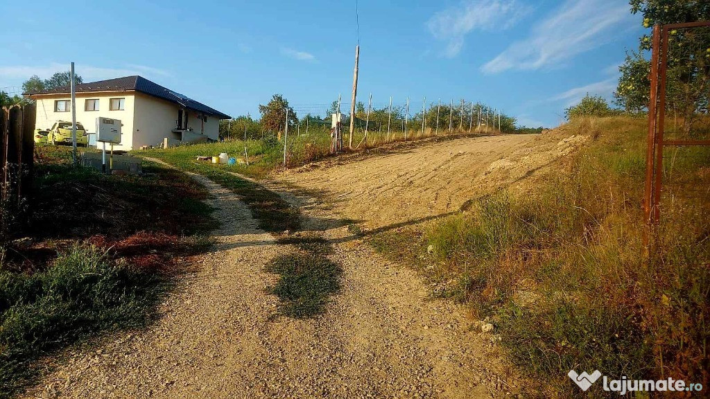 Teren intravilan , Bucium Barnova