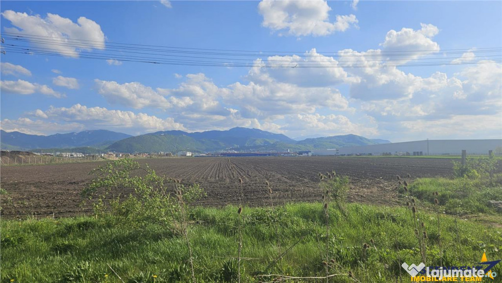 Teren intravilan, 10.000 mp, Grivitei, Brasov