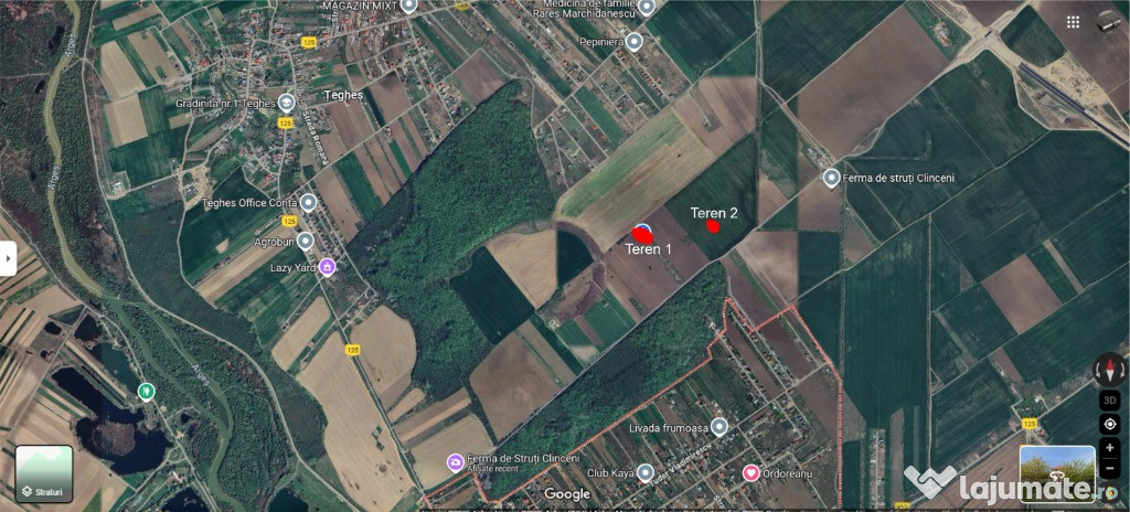 Ordoreanu clinceni 2 loturi separate la coltul padurii