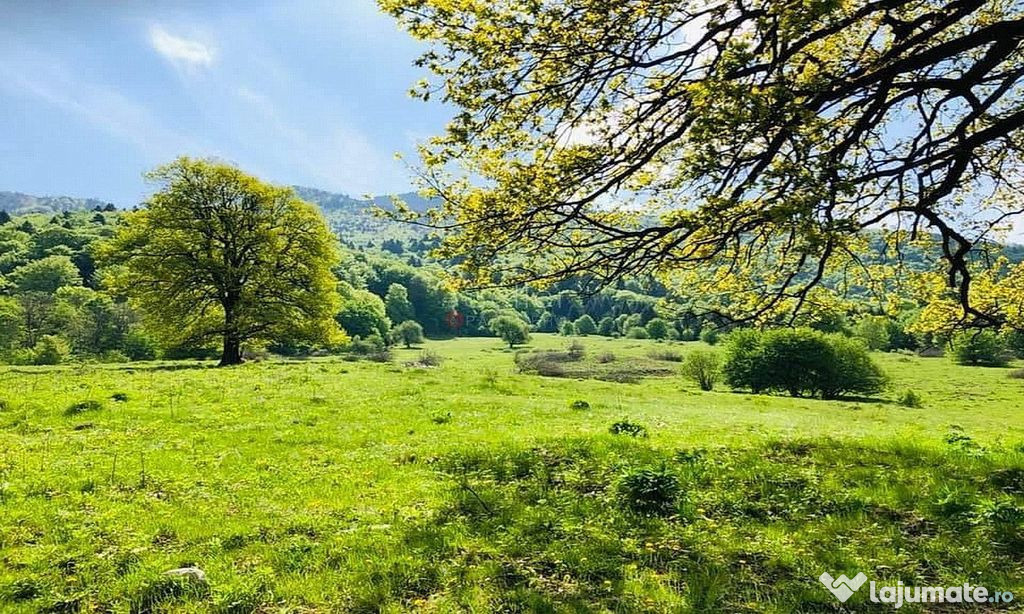 TEREN POTENTIAL TURISTIC - Rasnov - Cheisoara