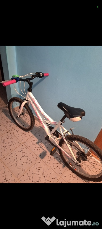 Bicicleta de fete