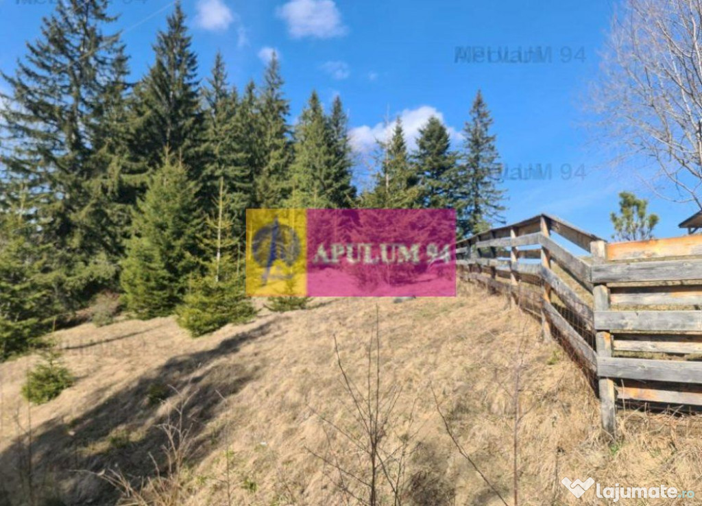 Teren de vânzare în Predeal - Zona Forban