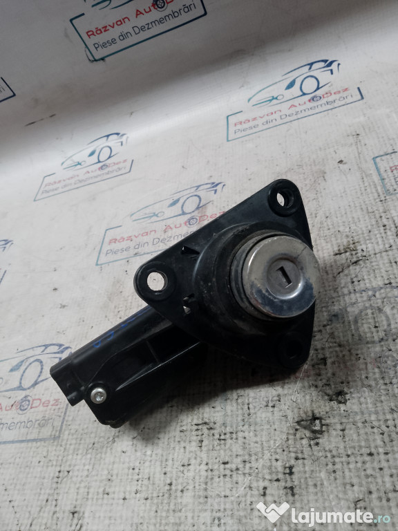 Butuc hayon Dacia Duster 2013