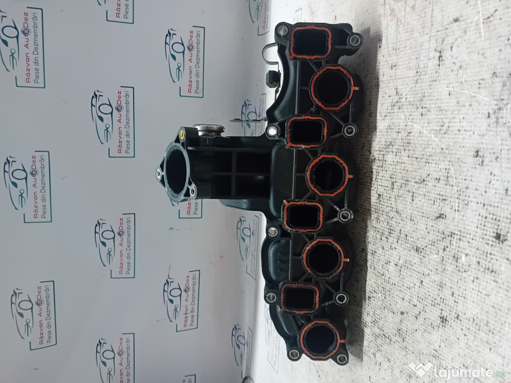 Galerie Admisie Plastic Skoda Fabia 2 2010