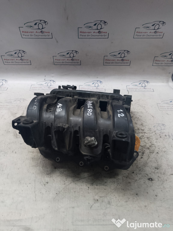 Galerie Admisie Plastic Dacia Sandero 1.2 2011