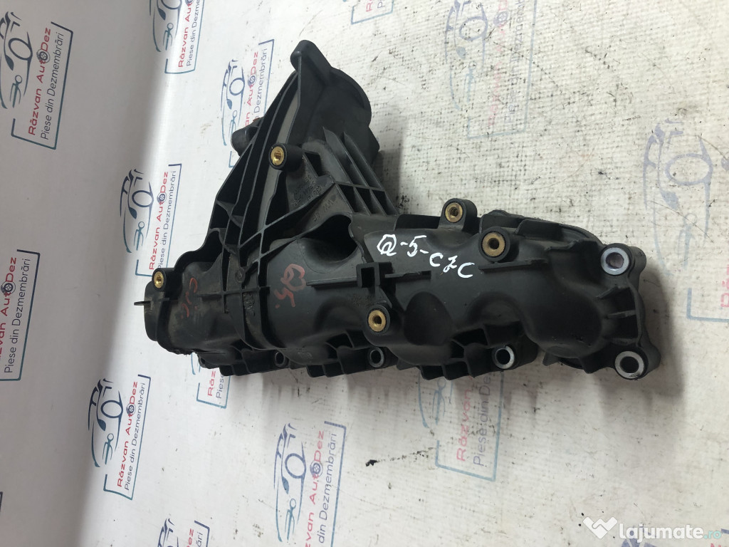 Galerie Admisie Plastic Audi Q5 2010