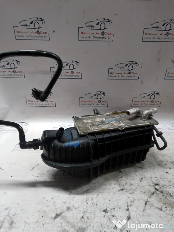 Galerie Admisie Plastic Skoda Fabia 2 Benzina 2011