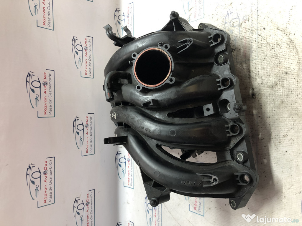 Galerie Admisie Plastic Seat Ibiza 2010