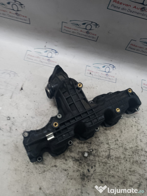 Galerie Admisie Plastic Skoda RAPID 2013