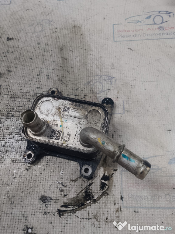 Termoflot Dacia Sandero 1.0 Benzina 2017