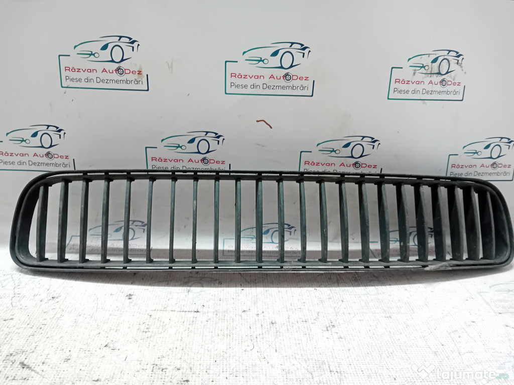 Grila bara fata Skoda Roomster 2008