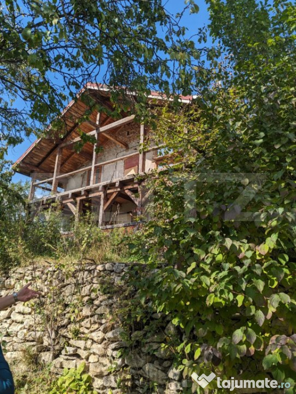 Casa de vacanta si teren 4873 mp în Pietroasa, Moldoveneş