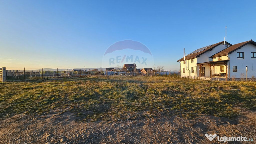 Teren 503mp Halchiu / Strada Ciucasului