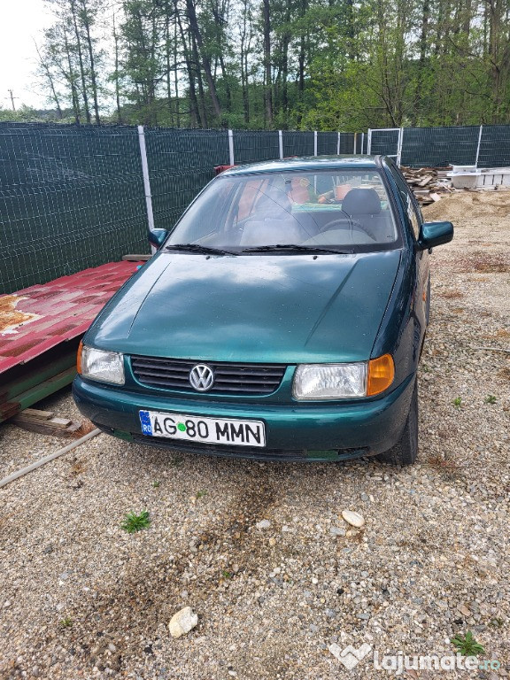 Polo pt programul rabla