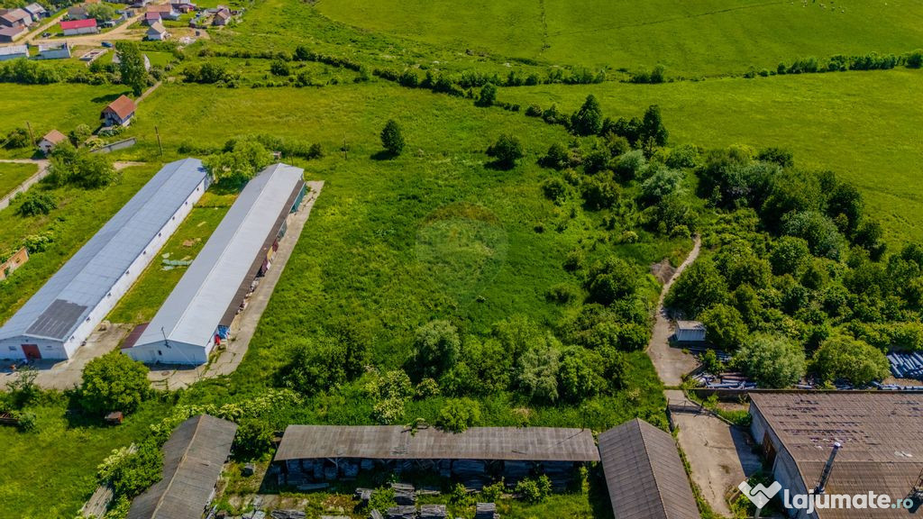 Teren de închiriat–9.335 mp, împrejmuit, camere TELIU...