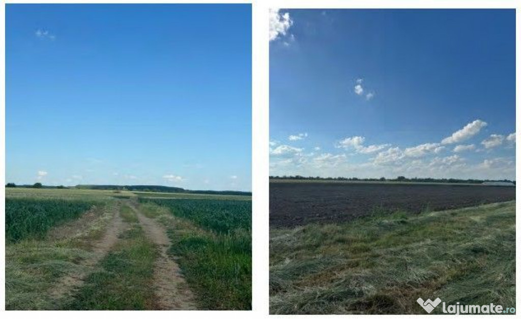 Teren extravilan, Valea Dragului, jud Giurgiu - 3035284