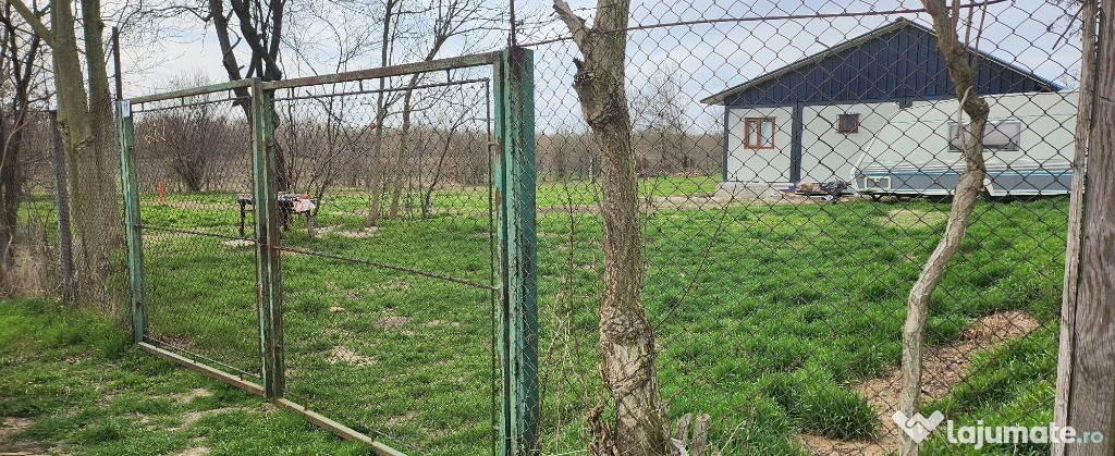 Teren plus casa in constructie Satnoieni Calarasi 2856mp