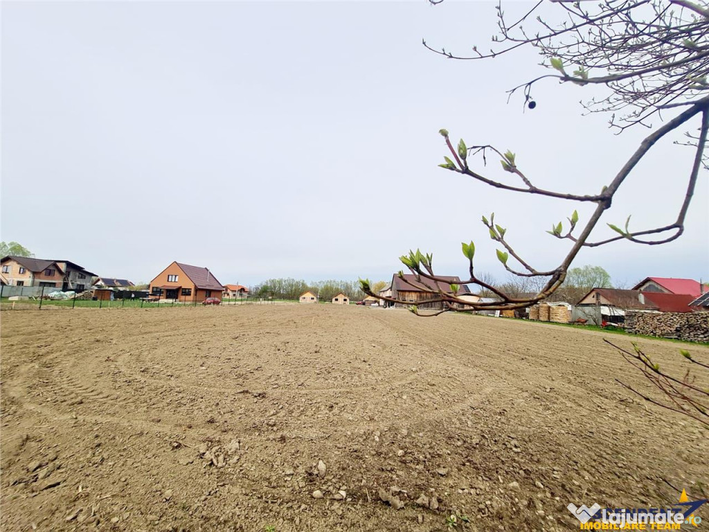 Teren 1.700 mp intravilan, natura, vecinatati bune, potentia