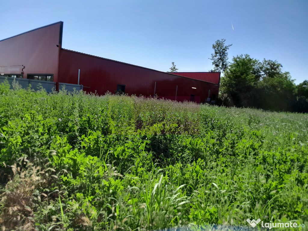 Movilita (IL)-teren de inchiriat aprox. 2 ha stradal, lan...