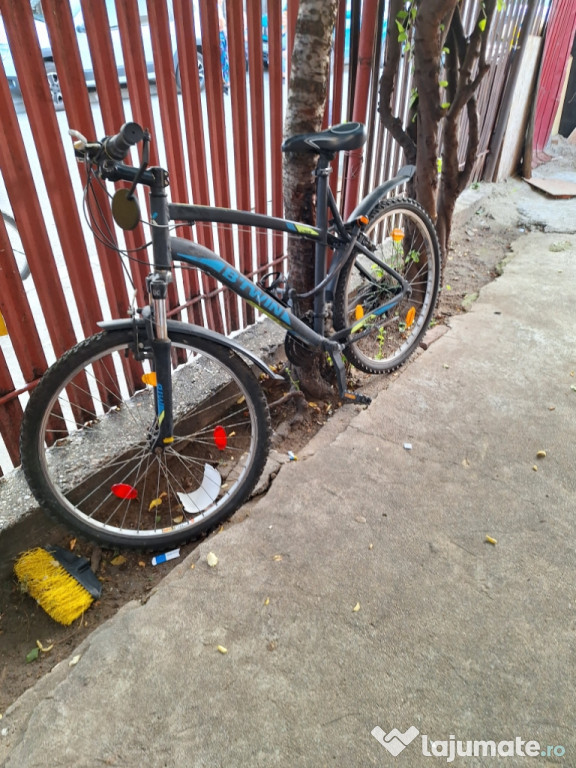 Bicicleta adulti