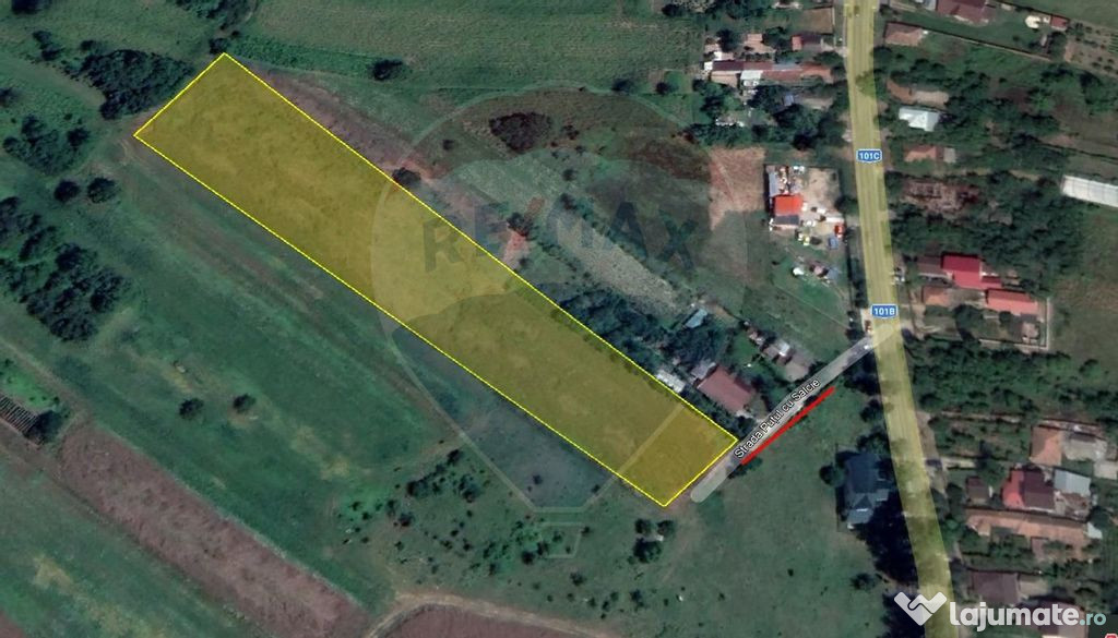 Teren 4,800mp Gruiu / Strada Putul cu salcie