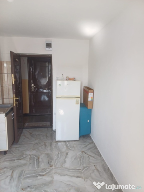 Podu Ros CAMERA de camin