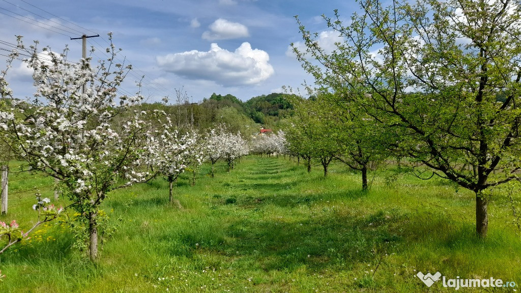 Teren 2.500 mp de vânzare
