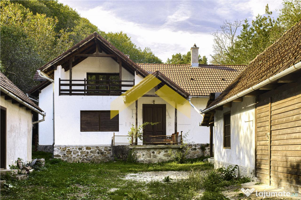 Casa cu padure de in Savarsini
