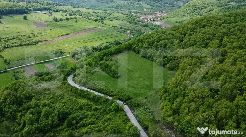 Teren superb, în mijlocul naturii, 18.360 mp, la Cărjiți