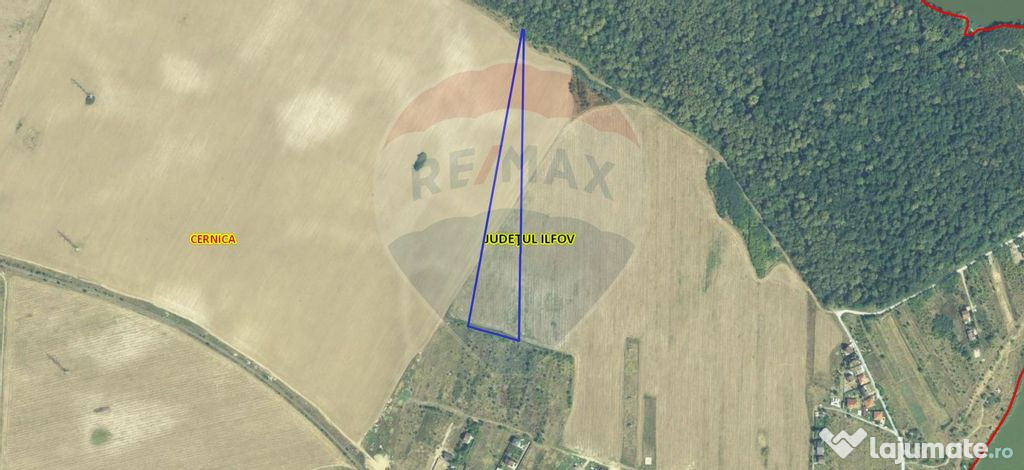 Teren intravilan 25000 mp – Căldăraru (Cernica, Ilfov)