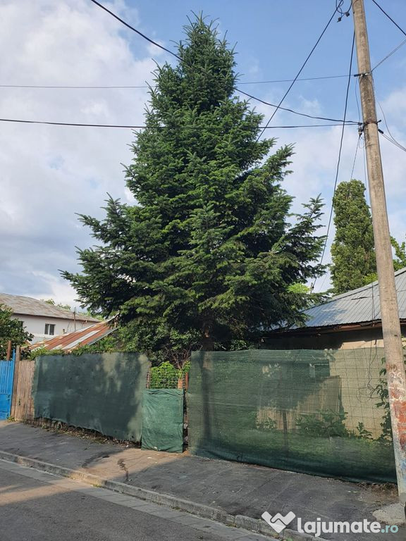 Teren intravilan 190 mp curti constructii - Lac Plumbuita