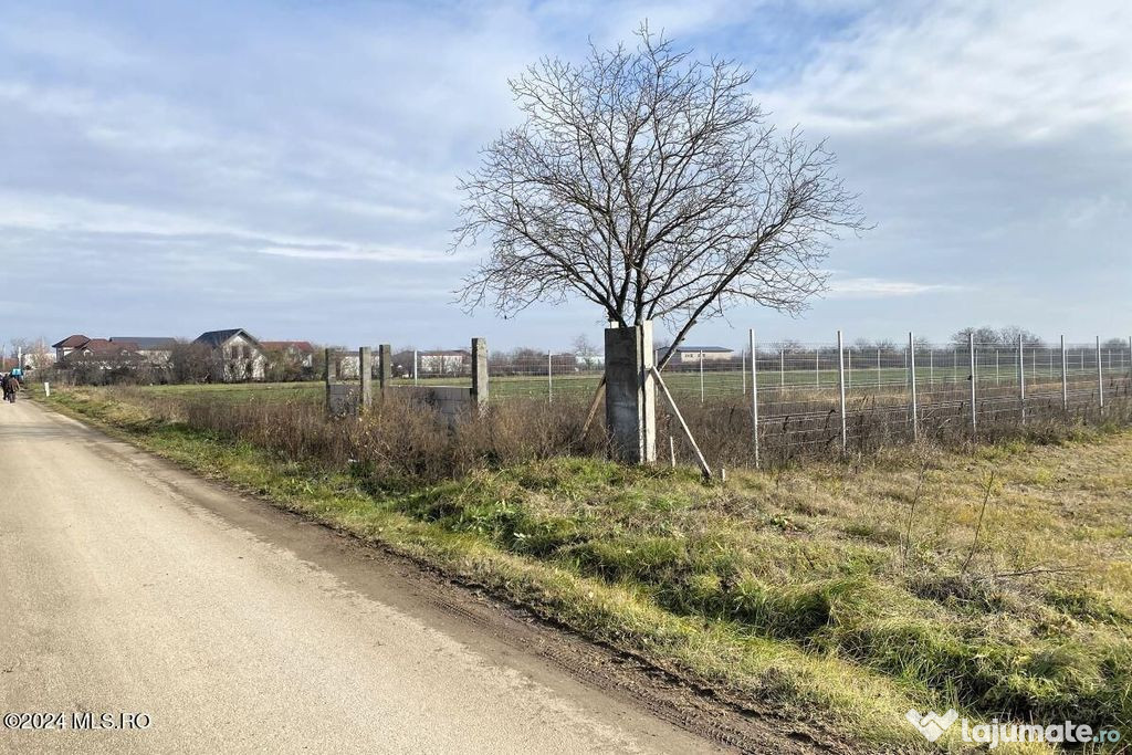 Afumati - Str. Iasomiei, 2409 MP, stradal, intravilan, de...