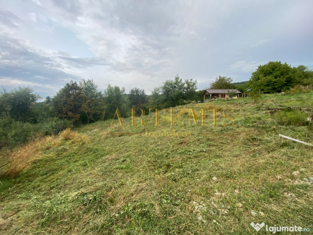 Teren intravilan 1279 mp , Valea Budacului