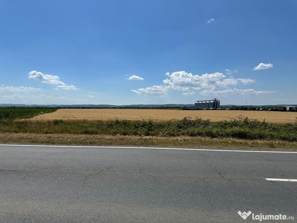Teren de vanzare in Sacadat zona Coca Cola cu acces din D...