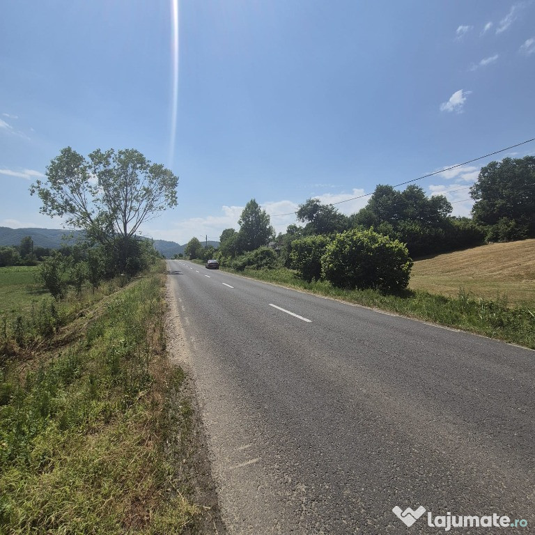 Berinta, 55 ari teren