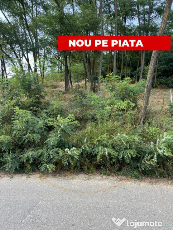 Teren 912 mp Hintesti panorama superba la padure